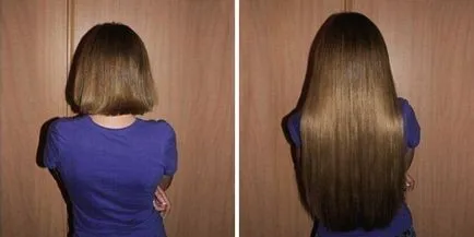 Tresse haj rajta Tresse haj rajta