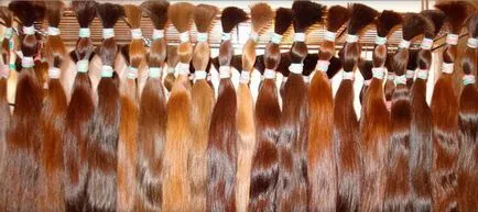 Tresse haj rajta Tresse haj rajta