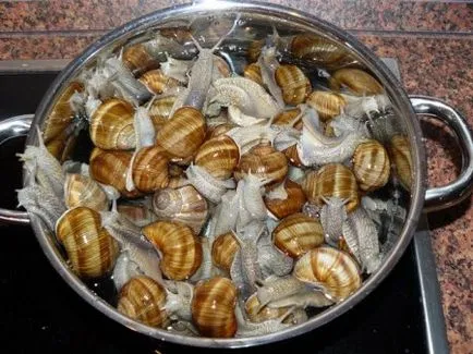 Főzni csigák szőlő