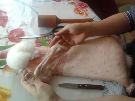 Öltözködés nyúl bőr otthon Öltözködés nyúl bőr otthon