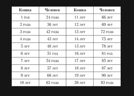 Age of macskák emberi viszonylatban