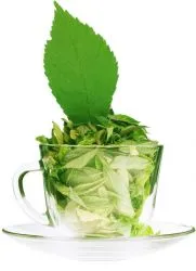 Hogyan fejti ki hatását a zöld tea a nyomás