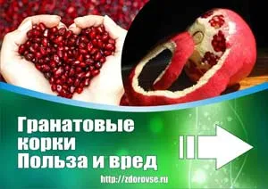 2018 évben az állat ki, mit felel meg a blog a nők egészségével (állat) 2018 évben az állat ki, mit felel meg a blog a nők egészségével