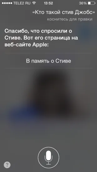 40 Fun Team Siri orosz