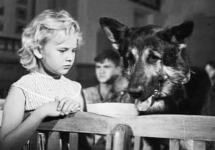 18 legjobb film a barátság az emberek és az állatok