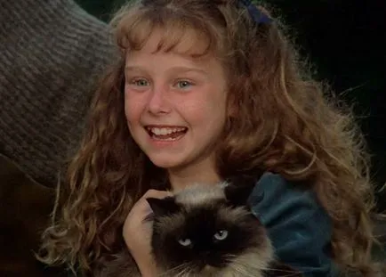 18 legjobb film a barátság az emberek és az állatok