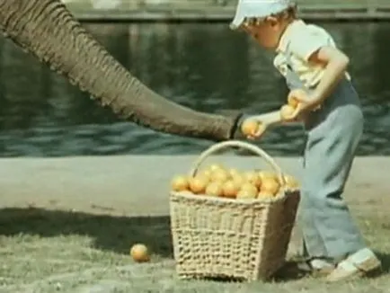 18 legjobb film a barátság az emberek és az állatok
