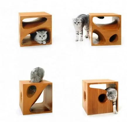 Top 13 példány a design bútorok macska és a tulajdonosaik (bútorok) Top 13 tételek design bútorok macskák és a tulajdonosok