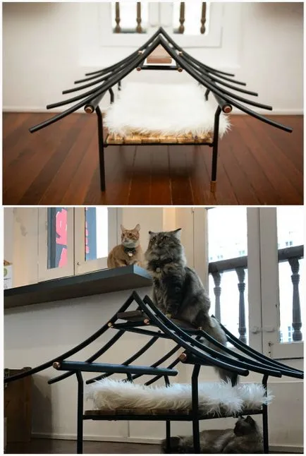 Top 13 példány a design bútorok macska és a tulajdonosaik (macska) Top 13 tételek design bútorok macskák és a tulajdonosok