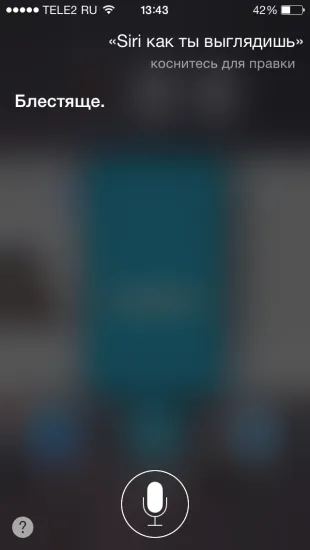 40 Fun Team Siri orosz