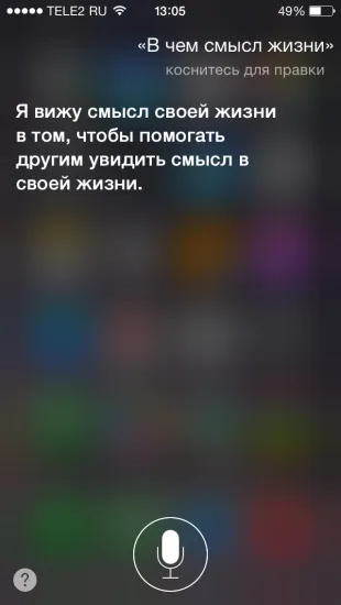 40 Fun Team Siri orosz