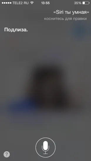 40 Fun Team Siri orosz
