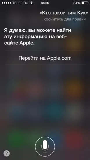 40 Fun Team Siri orosz