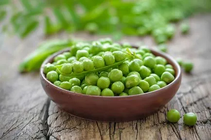 6. protein termék