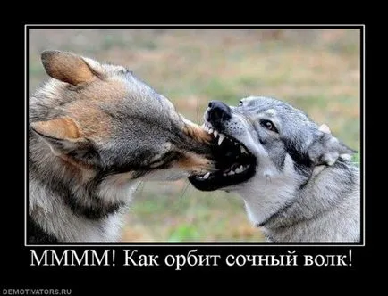 50 demotivators minden alkalomra