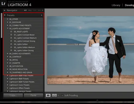92 előre beállított Lightroom a Evgeniya Kartashova