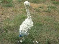 Stork kert saját kezűleg