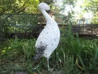 Stork kert saját kezűleg
