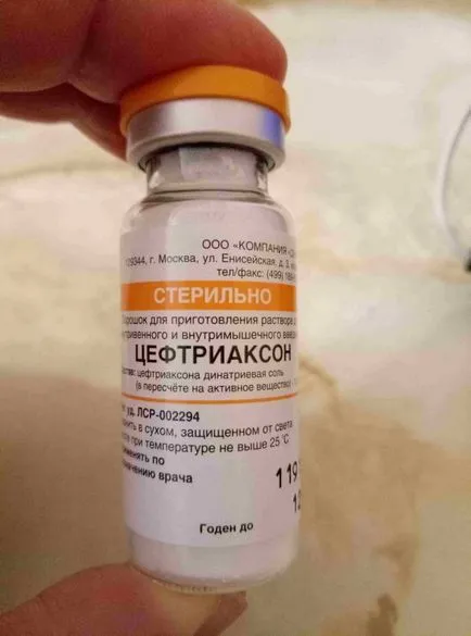 Az antibiotikum ceftriaxon, mit és hogyan kell ültetni, kezelt ceftriaxon