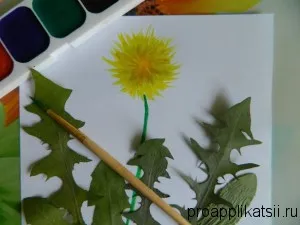 Alkalmazás - vagyis, hogy ragaszkodni ki szépség