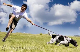 Kutya vagy Puppy húz pórázon, hogy mit és hogyan elválasztott gyerek belőle