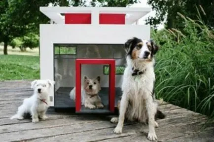 Kennel, amelyek az álom minden kutya (24 fotó)