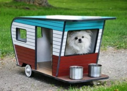 Kennel, amelyek az álom minden kutya (24 fotó)
