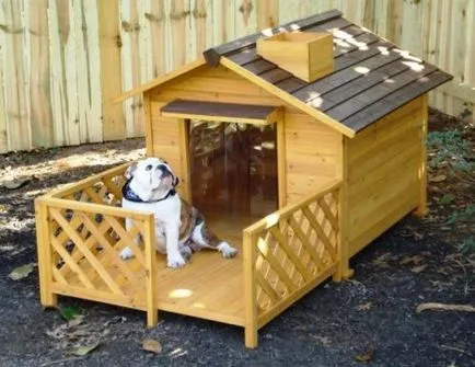 Kennel, amelyek az álom minden kutya (24 fotó)