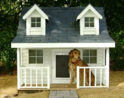 Kennel, amelyek az álom minden kutya (24 fotó)