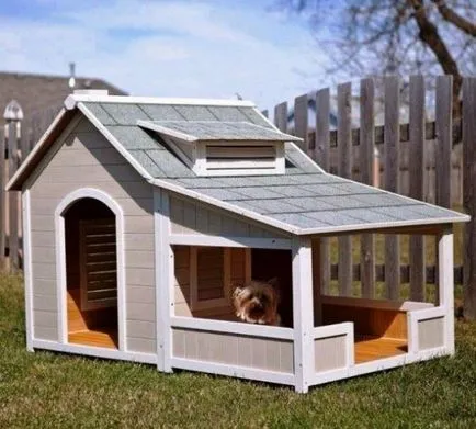 Kennel, amelyek az álom minden kutya (24 fotó)