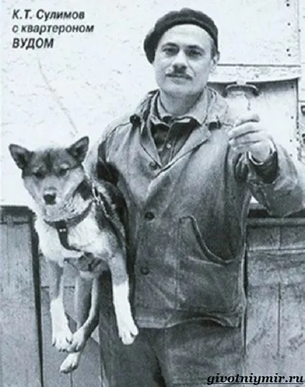 Sulimov kutya