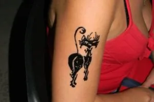 Bio-henna tetoválás, ami - 44 képek
