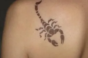 Bio-henna tetoválás, ami - 44 képek