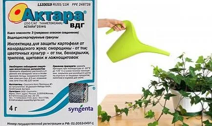 Molytetű ellenőrző repülő rovar kártevők