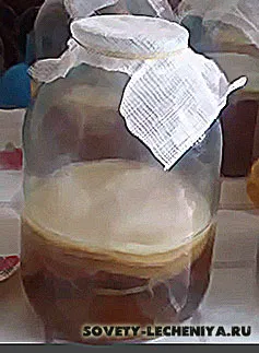 Kombucha csoda gyógyító, mi egyediségét és kezeljük őket (az infúzió tea gomba) Kombucha csoda gyógyító, mi egyediségét és kezeljük őket