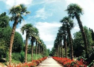 Botanical Garden Krím