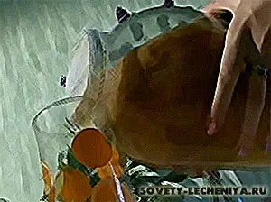 Kombucha csoda gyógyító, mi egyediségét és kezeljük őket (a gomba) Kombucha csoda gyógyító, mi egyediségét és kezeljük őket