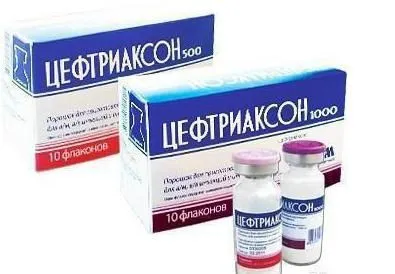 A ceftriaxon macskáknak használati utasítást, dózist, készítményt és értékelés (macskák) A ceftriaxon macskáknak használati utasítást, adagolás, összetételét és vélemények
