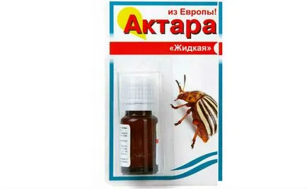 Rovar- molytetű, hogyan lehet megszabadulni a (eszközök) (pest) Rovar- molytetű, hogyan lehet megszabadulni a (eszközök)