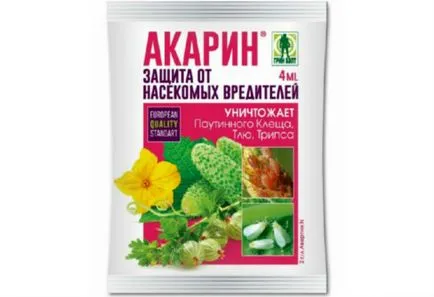 Rovar- molytetű, hogyan lehet megszabadulni a (eszközök) (eszközök) Rovar- molytetű, hogyan lehet megszabadulni a (eszközök)