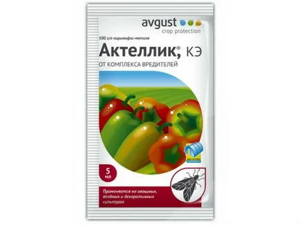 Rovar- molytetű, hogyan lehet megszabadulni a (eszközök) (liszteske) Rovar- molytetű, hogyan lehet megszabadulni a (eszközök)