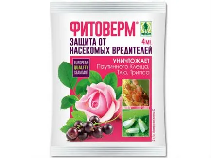 Rovar- molytetű, hogyan lehet megszabadulni a (eszközök) (RID) Rovar- molytetű, hogyan lehet megszabadulni a (eszközök)