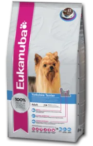 Mi a takarmány egy Yorkshire terrier növekszik az egészséges kutya