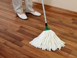 A mosás laminált, hogy nyoma sem volt a válások és hogyan kell mosni, eszközök, ötletek (nyomok) A mosás laminált, hogy nyoma sem volt a válások és hogyan kell mosni, eszközök, ötletek