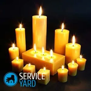 A mosás viasz, serviceyard-kényelmes otthon a kezedben (cserje, mint viasz) A mosás viasz, serviceyard-kényelmes otthon kéznél