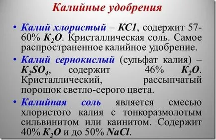 A takarmány almafa tavasszal, nyáron és télen (lombozat etetés) A takarmány almafa tavasszal, nyáron és télen