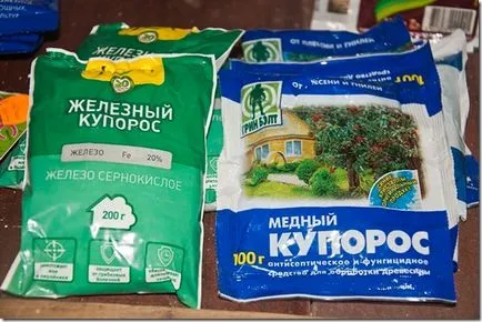 A takarmány almafa tavasszal, nyáron és télen (téli) A takarmány almafa tavasszal, nyáron és télen