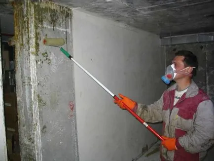 A fogantyú falakat penész a lakásban, vagy egy vidéki házban