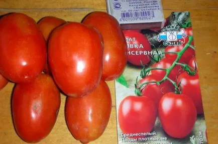 Mit lehet tenni, paradicsommal módon betakarítás paradicsom télen