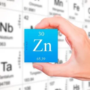 A cink cink táplálkozás az élelmiszerek a szervezetben, az élelmiszer és az egészség (cink) Cink táplálkozási cink szerepe a szervezetben, az élelmiszer és az egészség